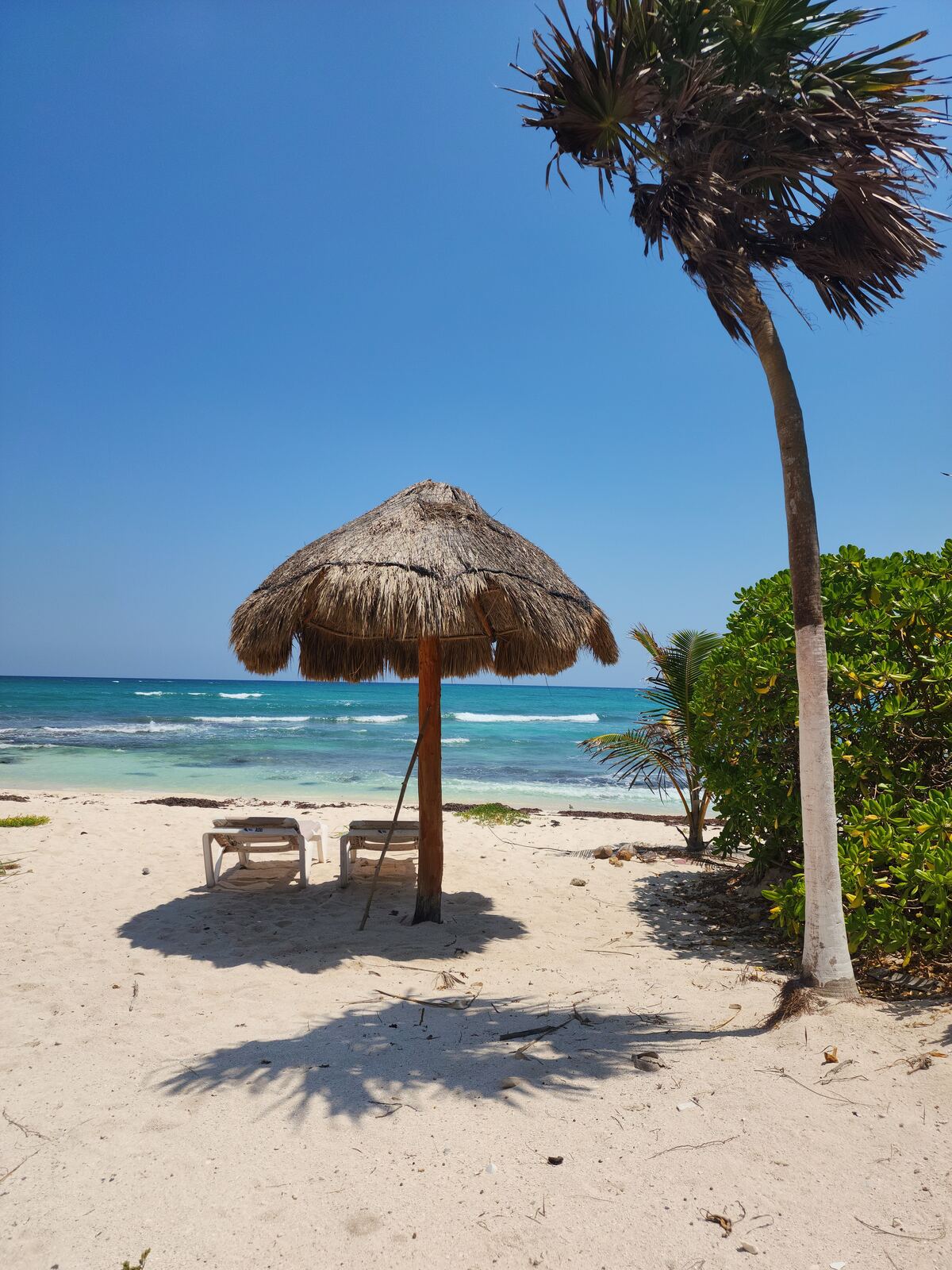Turquoise water and coastline near the Costa Maya cruise port, Mexico
