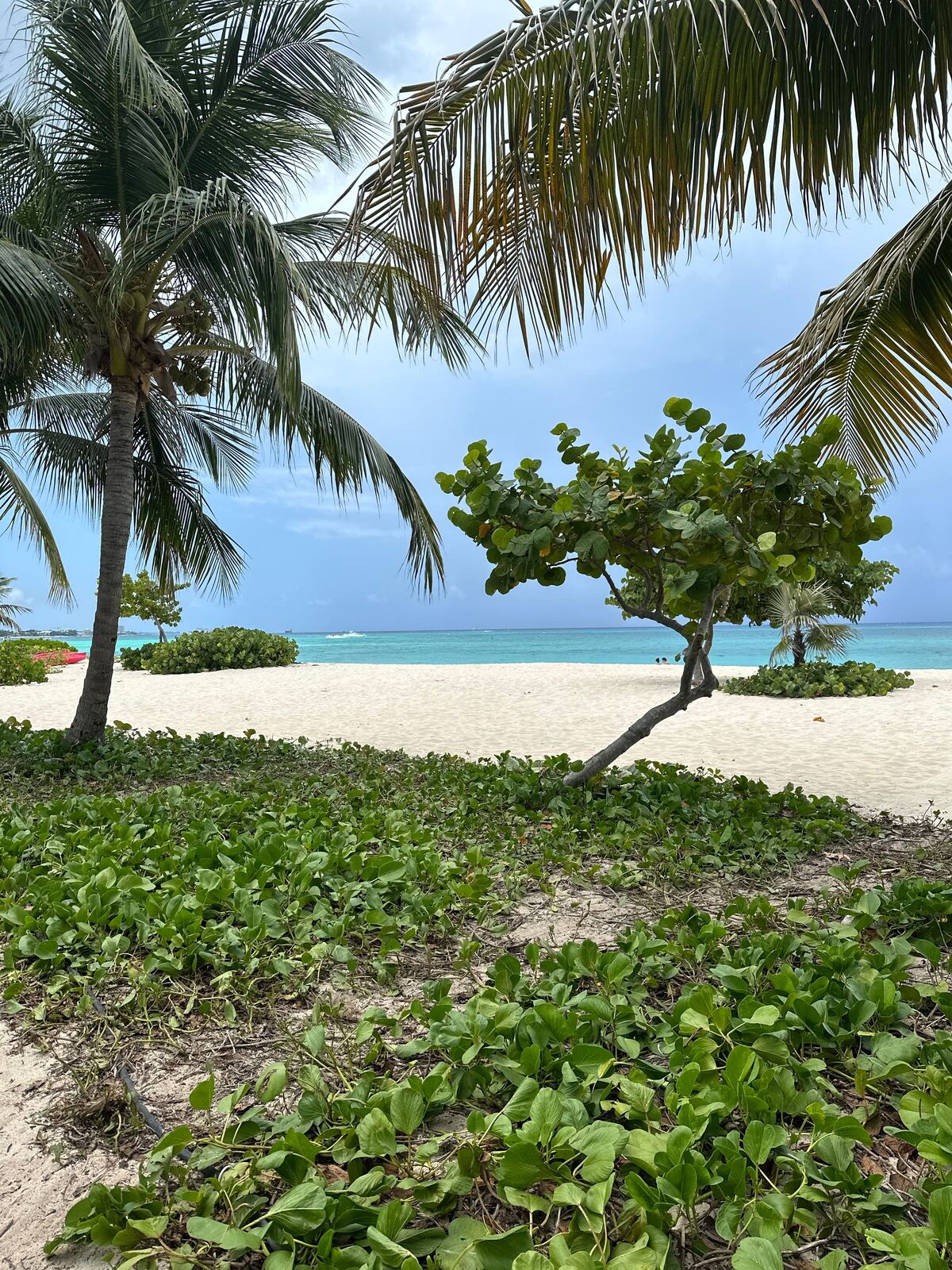 Turquoise water and white sand along Grand Cayman's coastline