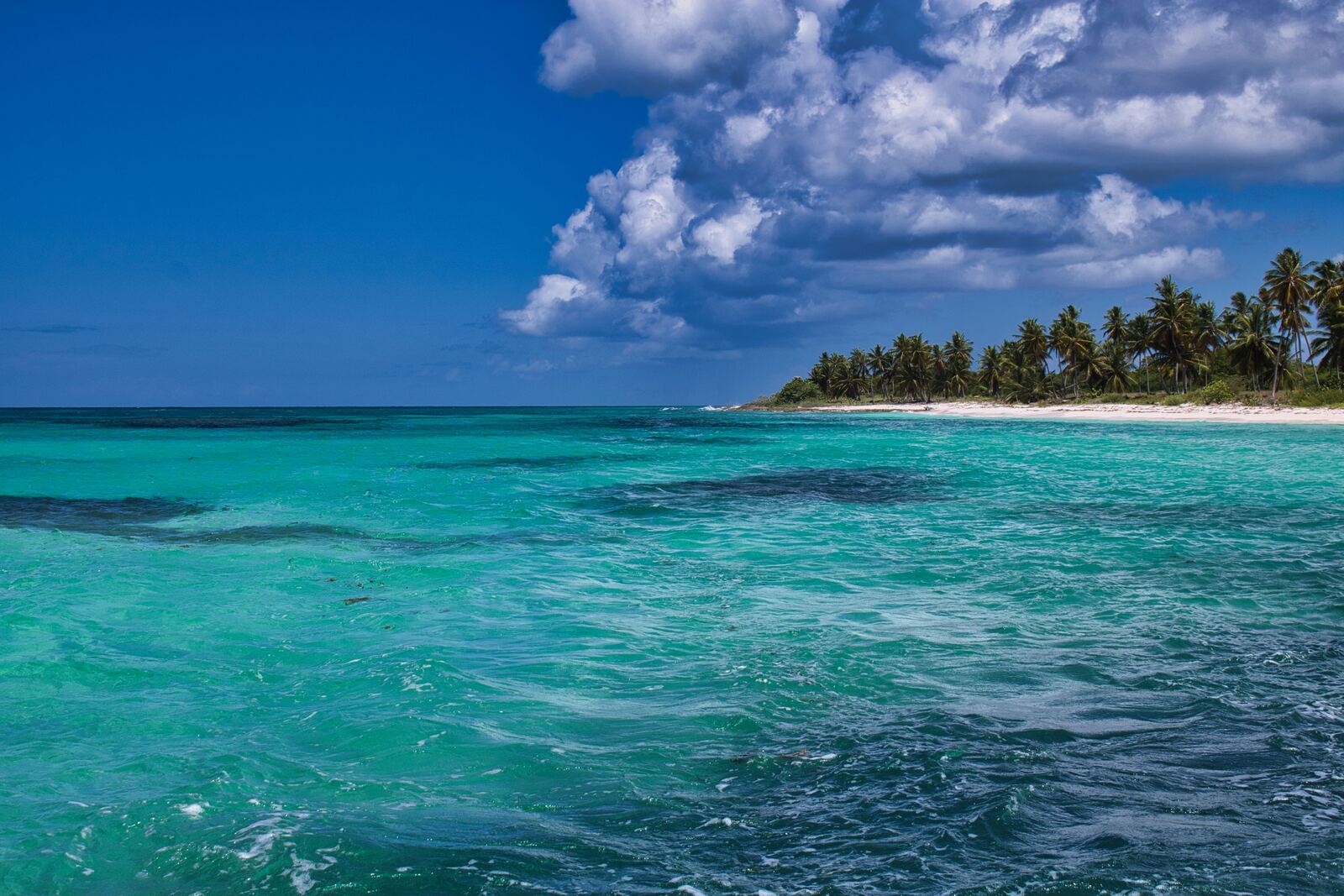 Turquoise Caribbean water and palm-lined coastline from above